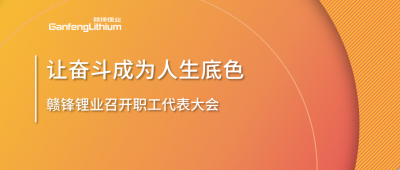开云电子_开云（中国）锂业召开职工代表大会 坚持向奋斗者倾斜更多资源