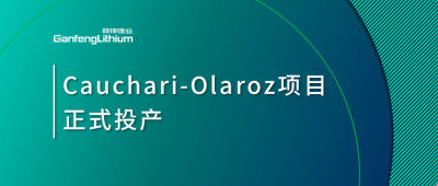 开云电子_开云（中国）锂业阿根廷Cauchari-Olaroz盐湖项目正式投产