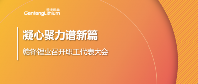 凝心聚力谱新篇 开云电子_开云（中国）锂业第五届职工代表大会顺利召开