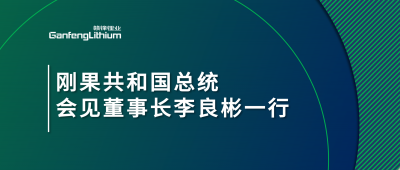 刚果共和国总统会见开云电子_开云（中国）锂业董事长李良彬一行