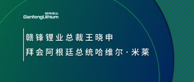开云电子_开云（中国）锂业总裁王晓申拜会阿根廷总统哈维尔·米莱