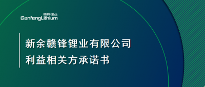 新余HB火博·（Home）锂业有限公司利益相关方承诺书